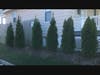 St. Teresa of Avila Church in Summit has planted dozens of trees outside its church building and rectory as part of a unique program that aims to ultimately plant 500 trees on the parish’s church, school, and cemetery grounds. 