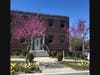 St. Teresa of Avila Church in Summit has planted dozens of trees outside its church building and rectory as part of a unique program that aims to ultimately plant 500 trees on the parish’s church, school, and cemetery grounds. 