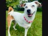 Penny- Emerging Hero and Shelter