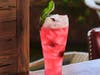 Cherry Basil Smash