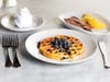 Blueberry Waffle 