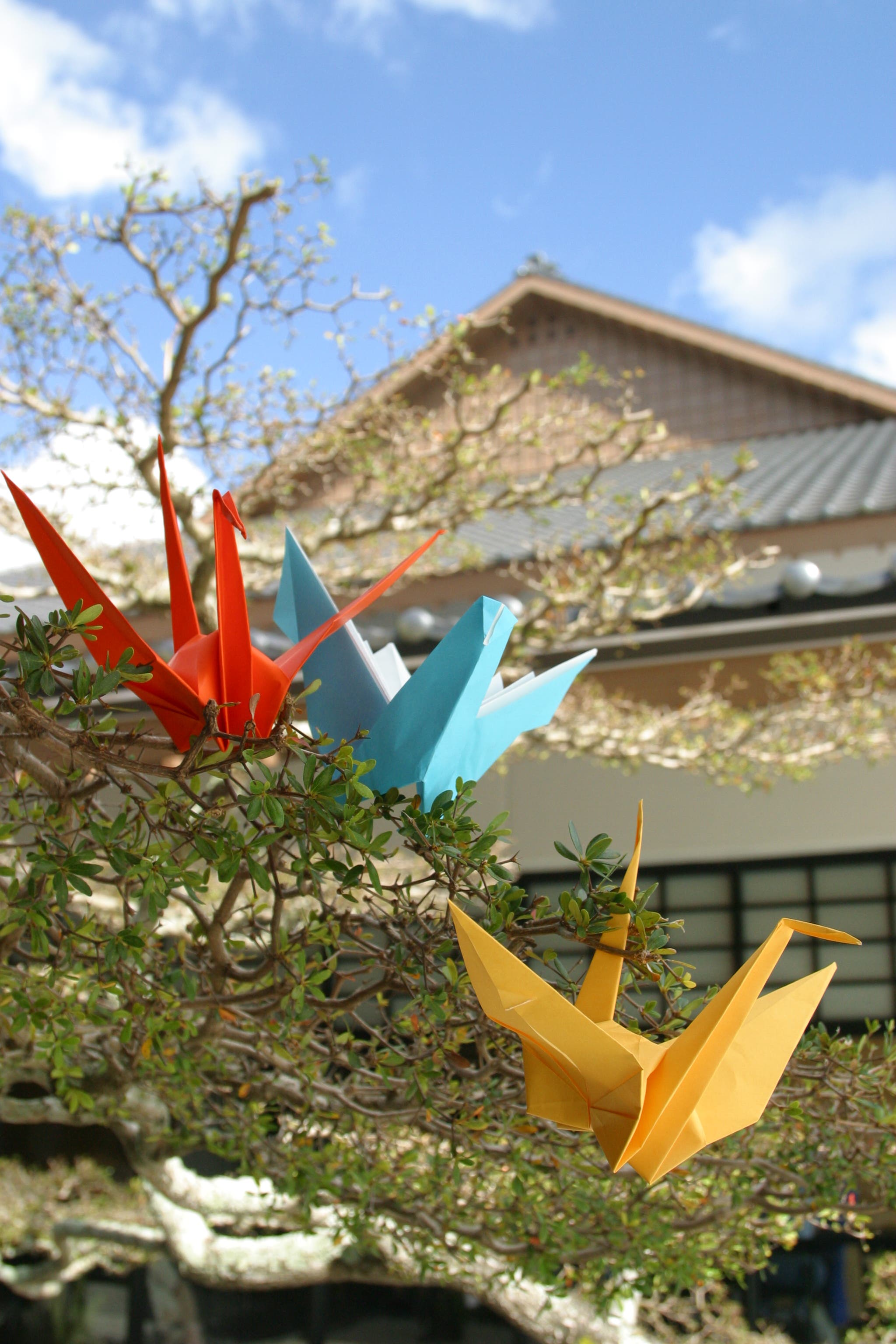 Raising Cane’s Hosts Cultural Fun-raiser for Morikami Museum and Japanese Gardens