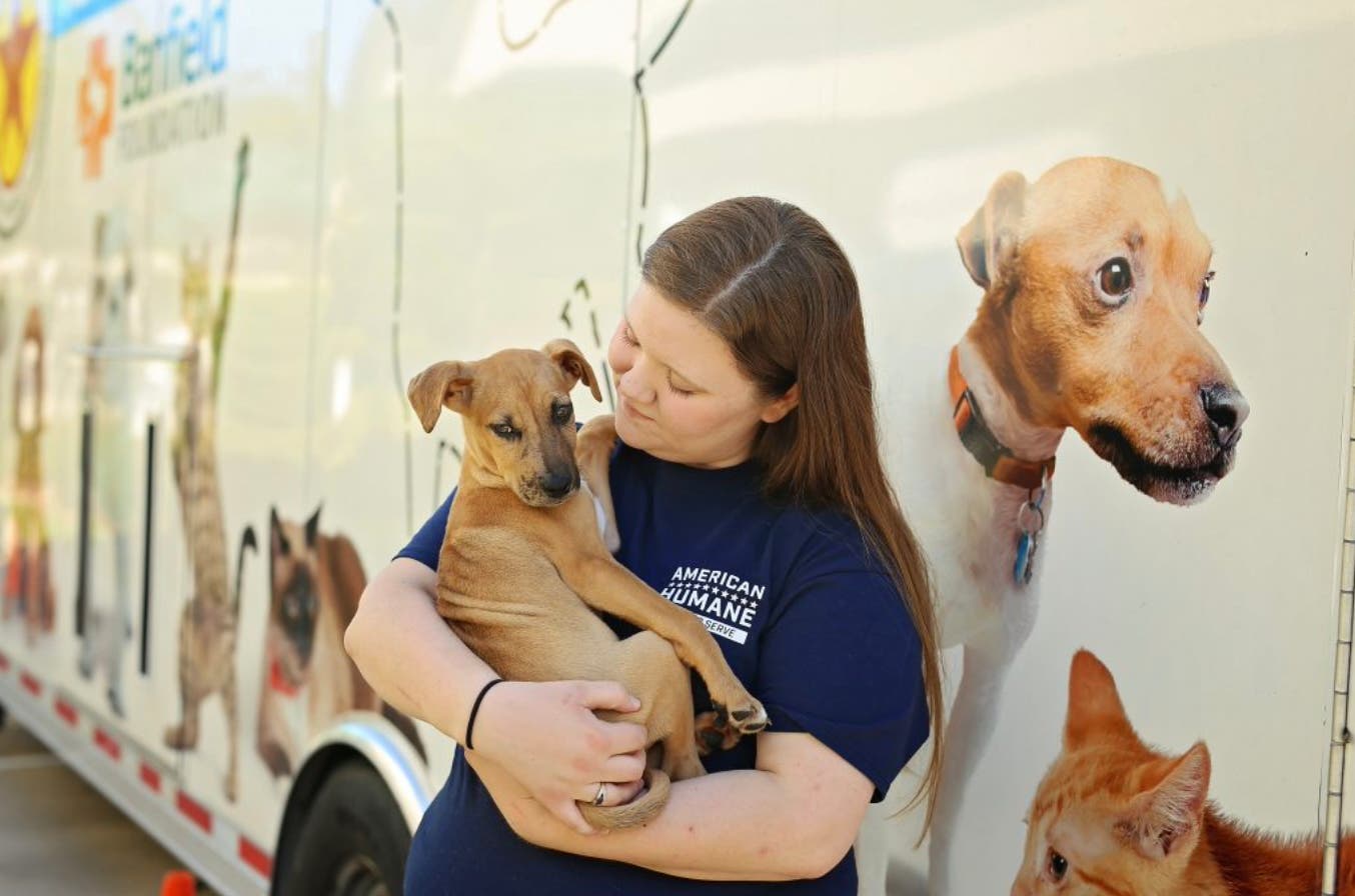 WOOF! 🐶 Hurricane Prep Tips for Pets