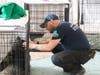 American Humane Society's Rescue Team Deploys to Colorado Wildfires