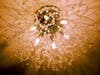 The Tea Leaf is full of special touches in windows, on walls and ceilings.  