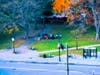 The Organization Food Not Bombs on the Waltham Common as seen from the Waltham Mills fourth floor.