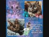 Luna and Severus are a pair of 16-week old bonded black siblings available for adoption from K's Kitten Rescue in Ocean County, NJ.