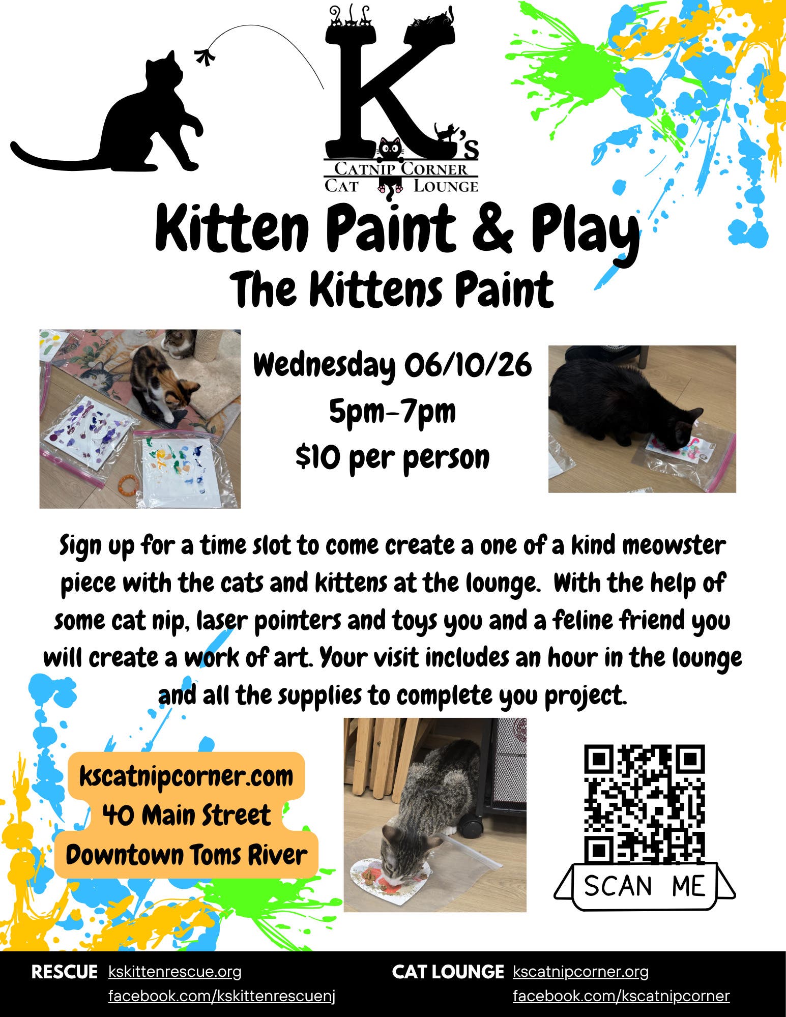 Kittens Paint And Play