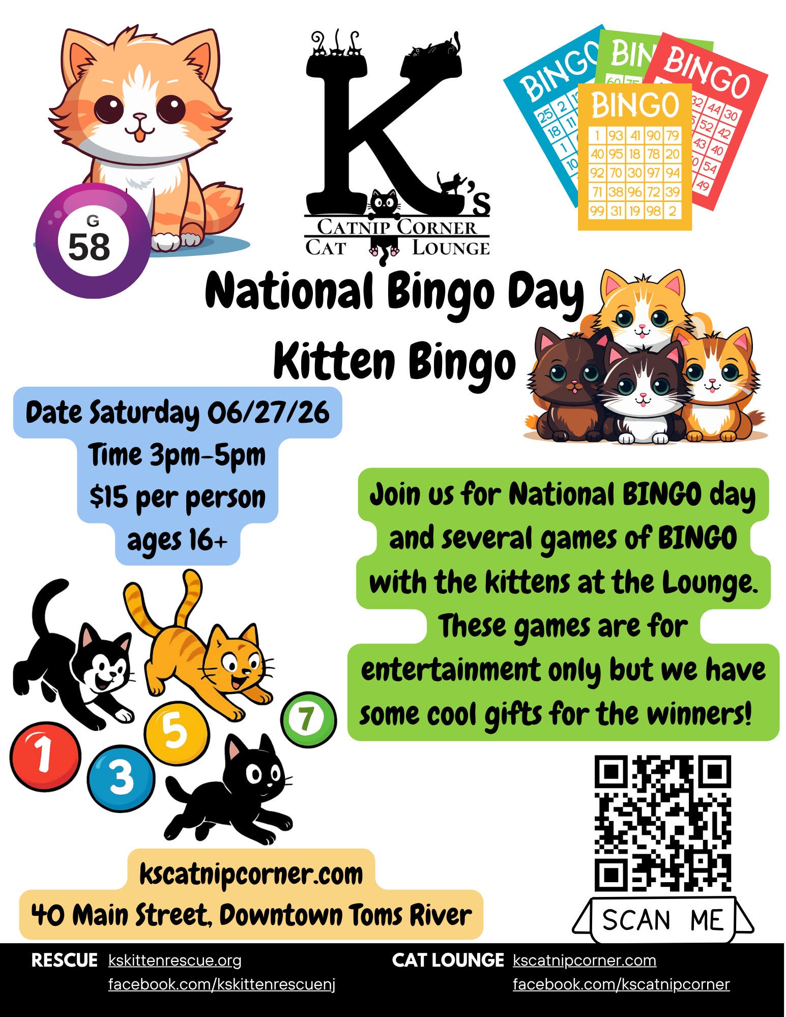 National Bingo Day - Play With Kittens