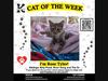Rose Tyler, a 3 month old female kitten from the Dr Who litter, has watched her siblings go home and is waiting patiently for her turn to go to her own furever home. Will you be the person to take her home?