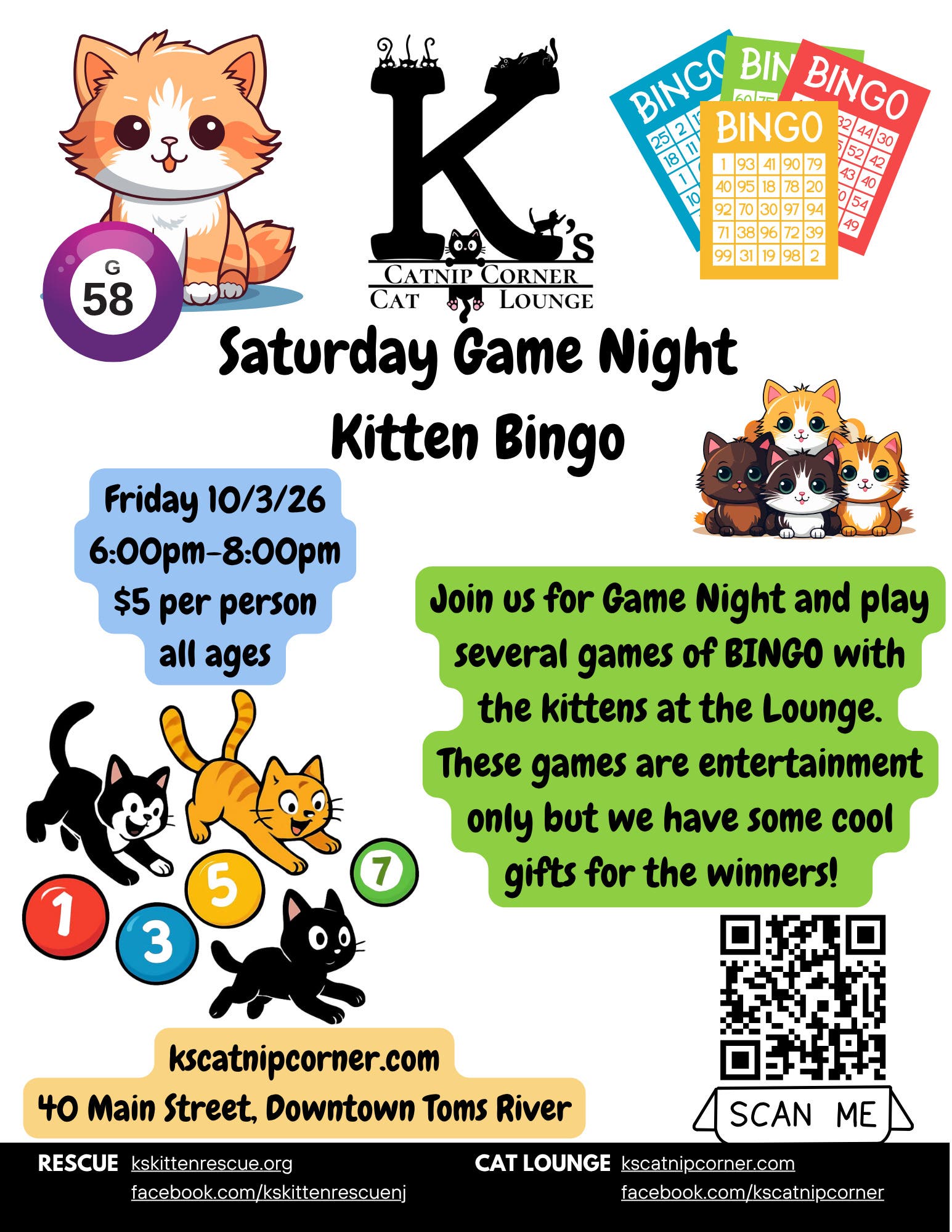 Kitten Bingo