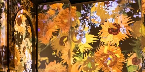 Van Gogh: The Immersive Experience - Richmond