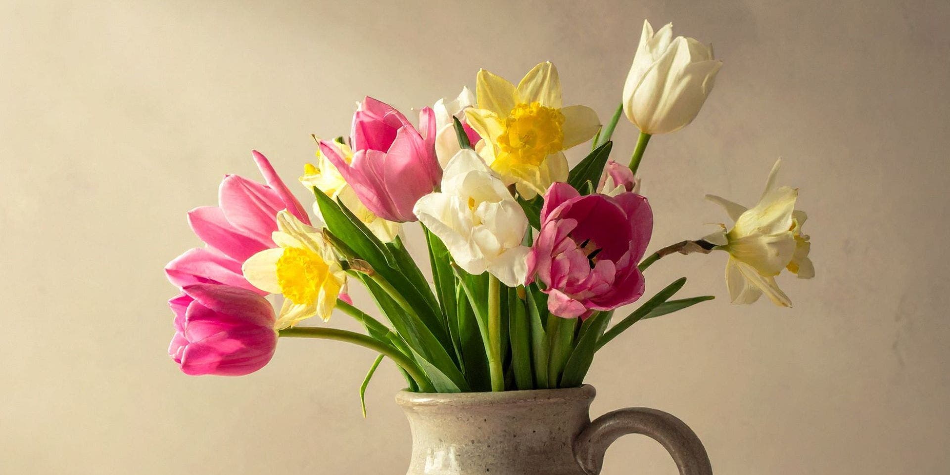 Floral Still Life Photography Workshop