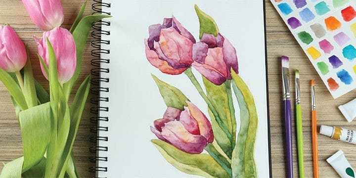 The Basics of Watercolor Painting