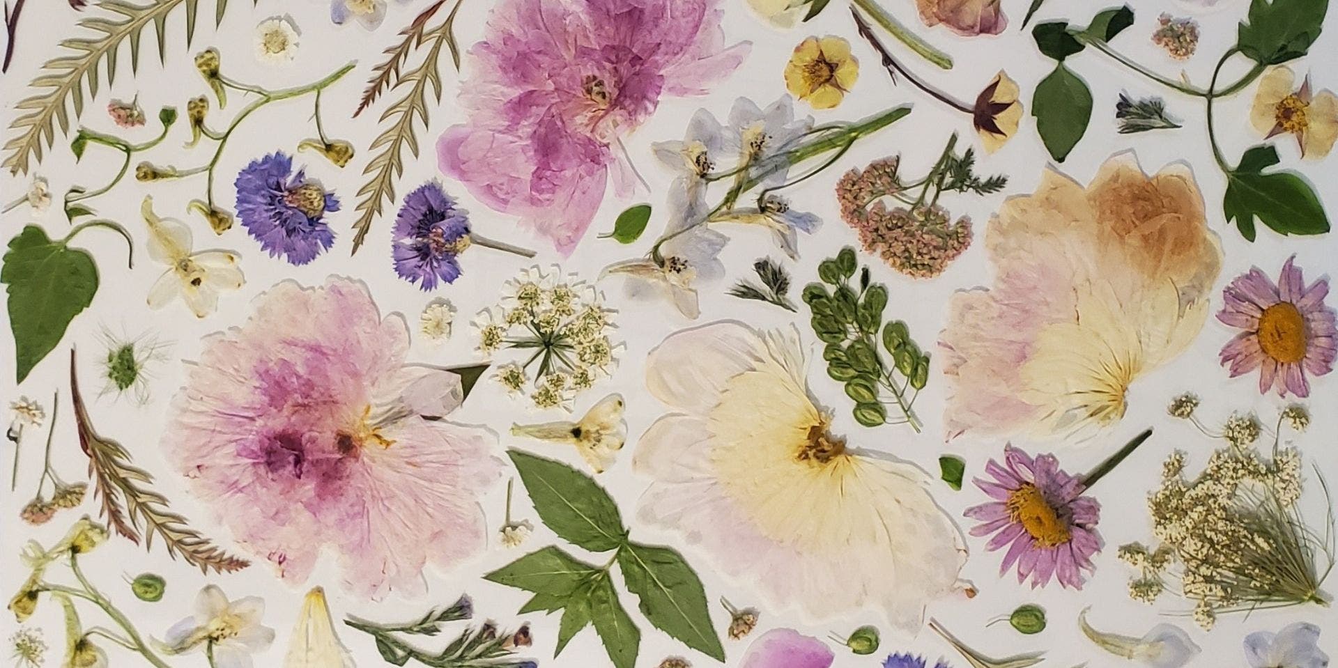 Pressed Flower Design Workshop