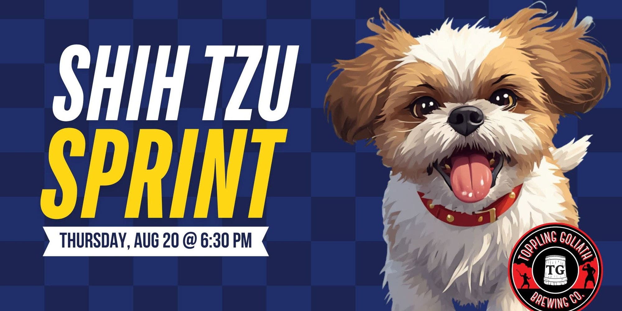 Shih Tzu Sprint