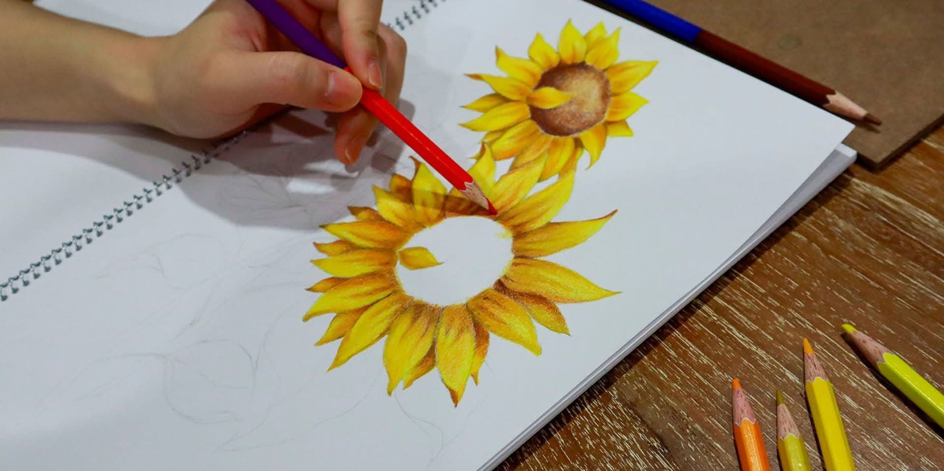 Botanical Illustration: Geometric Floral Drawing