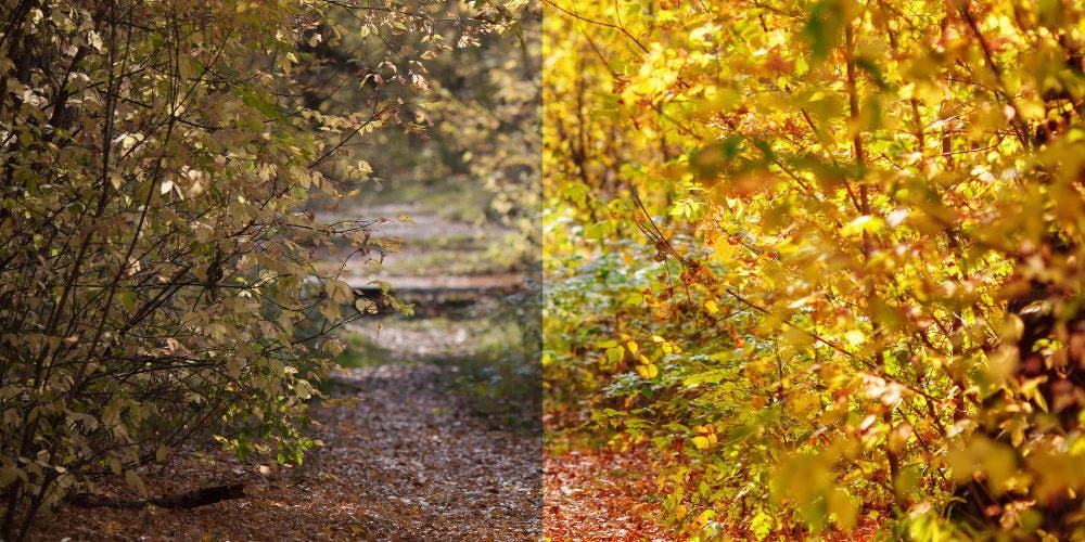 Beginner Photo Editing