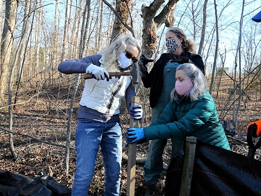 Volunteers in Prince William County helped set traps to collect salamanders and measure the health of restored stream in Dumfries. 