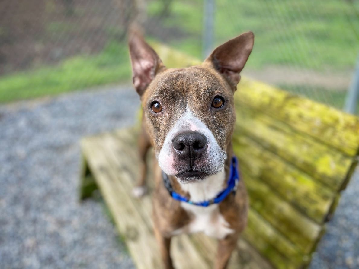 Holly is a happy-go-lucky girl who hasn't let the trials of life get her down. 