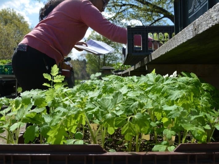 Historic Oakland Farm in Waterford features an array of history. The farm was owned by the same family for more than 200 years and was recognized as a "Bicentennial Farm" by the U.S Department of Agriculture. 