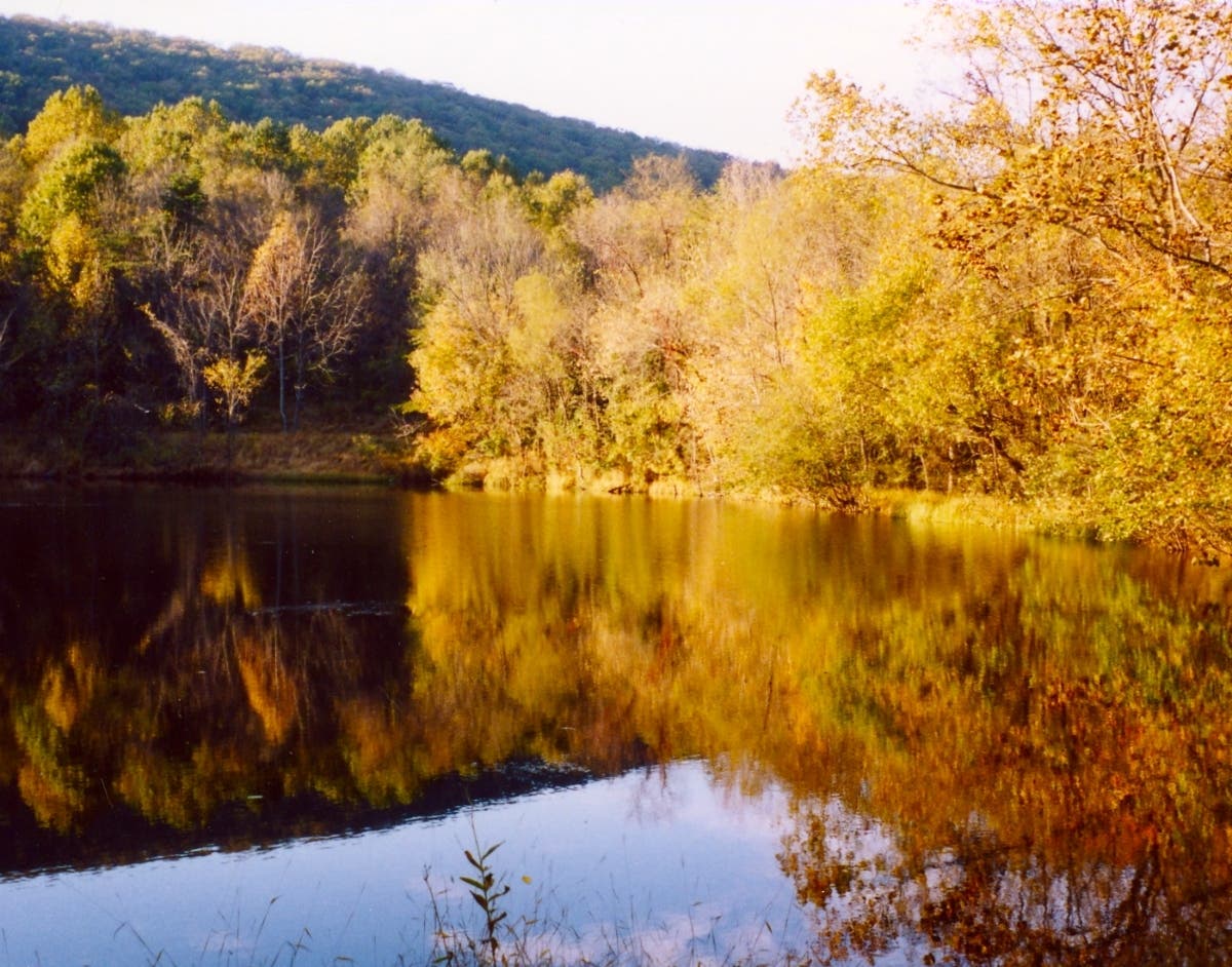 The Sweet Run State Park will be located in western Loudoun County. The Department of Conservation and Recreation finalized an acceptance of 208 acres on the site and will now begin the planning process for the park, officials announced on Thursday.