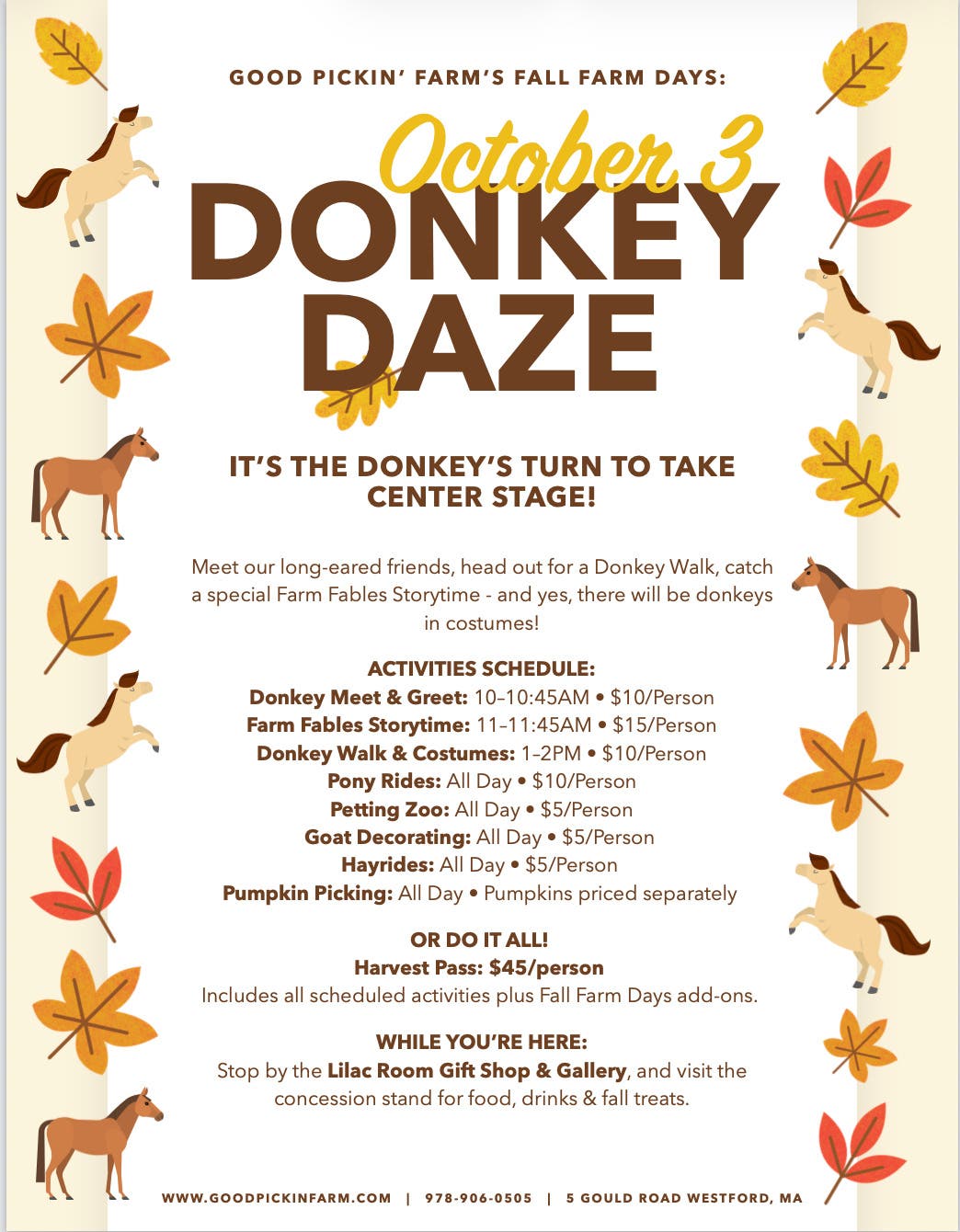 Donkey Daze