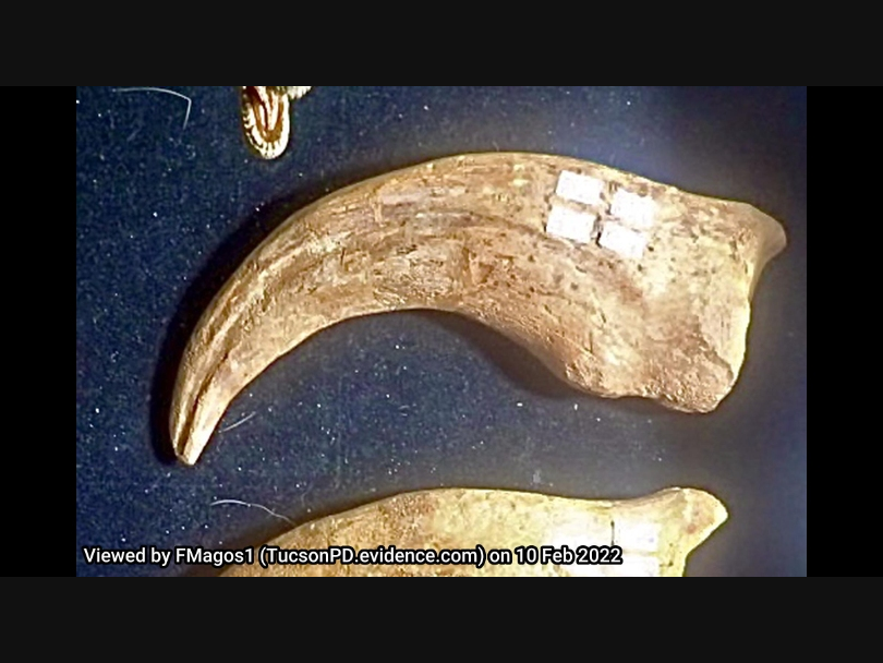 A picture of the dinosaur claw, valued at $20,000, that reportedly was stolen from a Gem Show event in Tucson last month. Last week, police arrested a man after he allegedly attempted to sell the item at another Tucson location. 