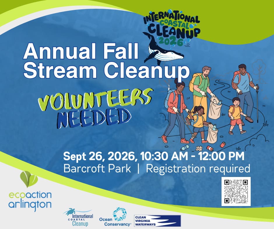 Annual Fall Stream Cleanup