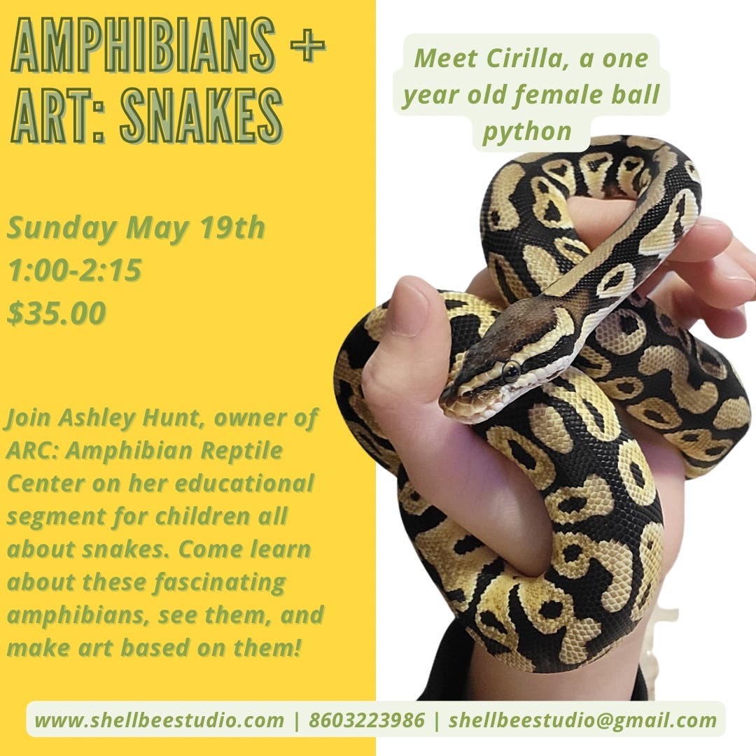 May 19 | Shell & Bee Studio: Amphibians, Reptiles, & Art | Essex, CT Patch