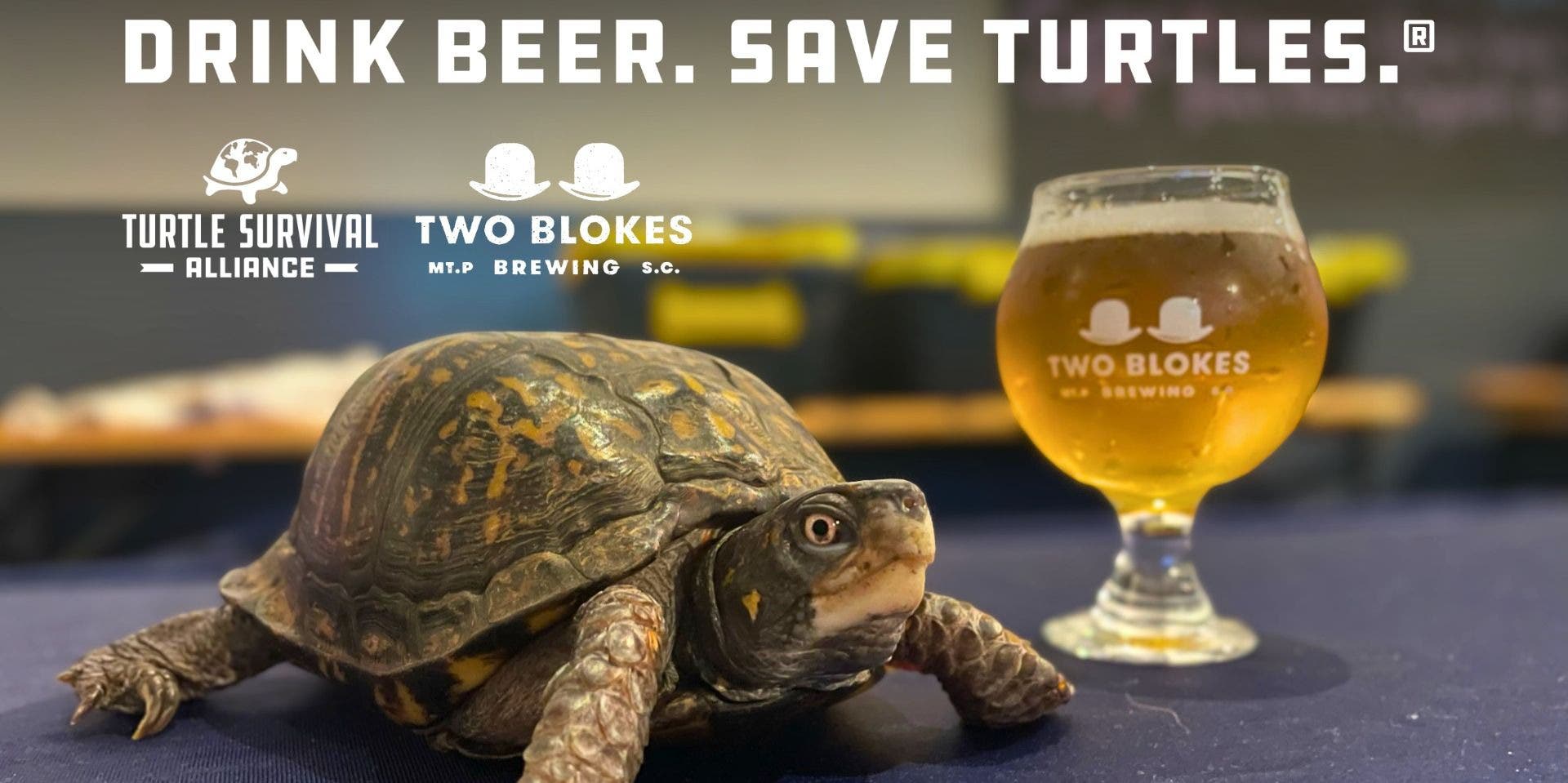 Drink Beer. Save Turtles.® @ Two Blokes
