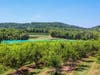 Hunterdon County, N.J. has 25 parks on over 8,000 acres of land, and has over 100 restaurants, bed and breakfasts, vineyards and historic bridges located within the various towns.