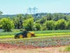 The Hunterdon County trail in central New Jersey features farmers markets, vineyards, farm tours, scenic biking and hiking during its summer season.