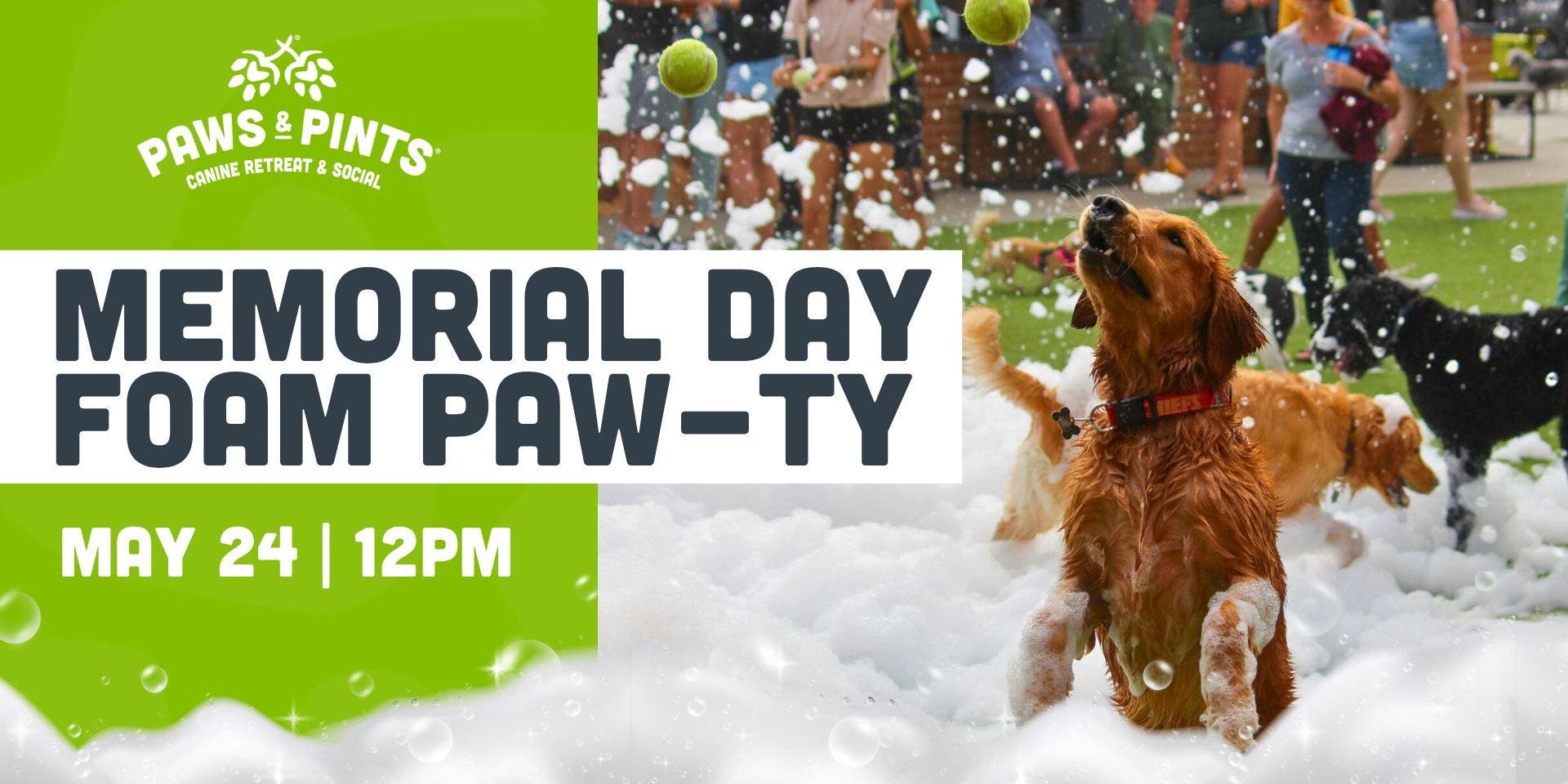 Memorial Day Foam Paw-ty
