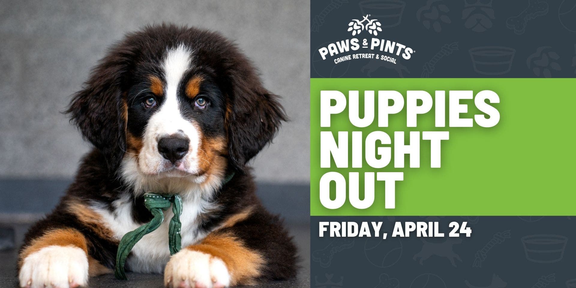Puppies Night Out