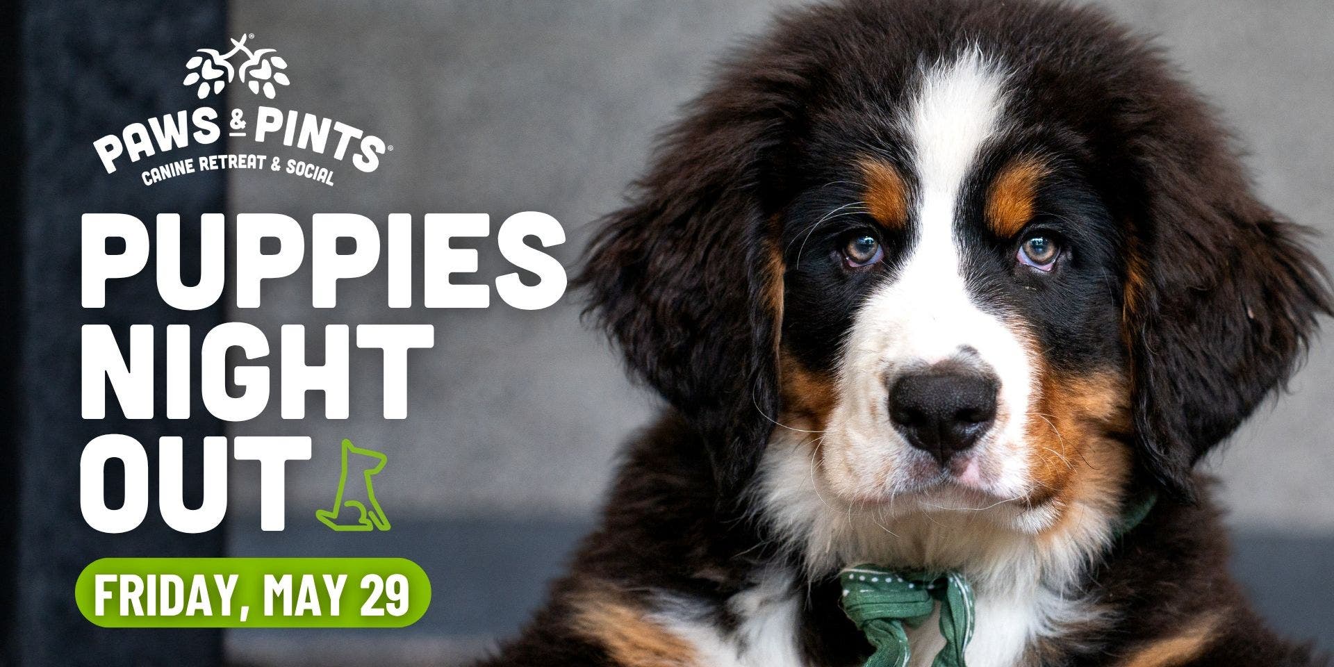 Puppies Night Out