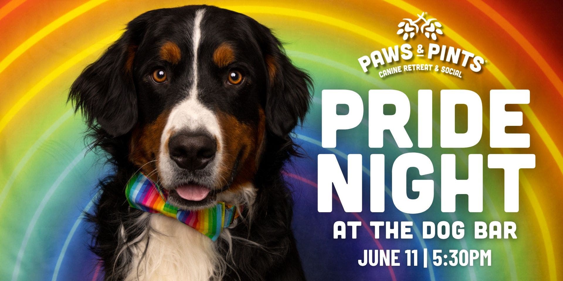 Pride Night at the Dog Bar