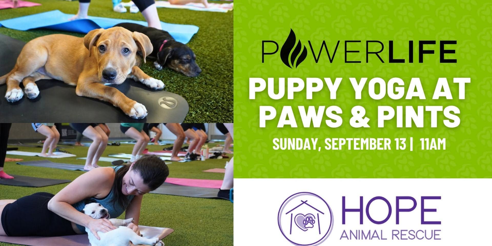 Puppy Yoga with Power Life