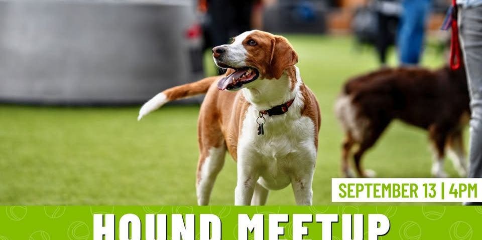 Hound Meetup