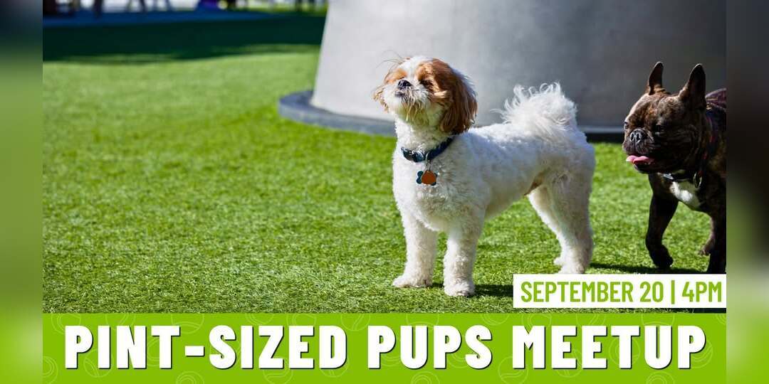 Pint-Sized Pups Meetup