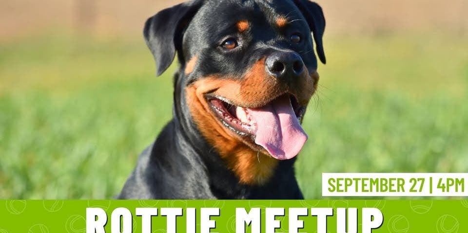 Rottie Meetup