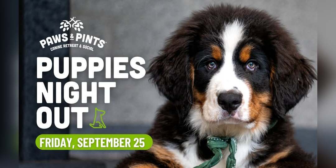 Puppies Night Out