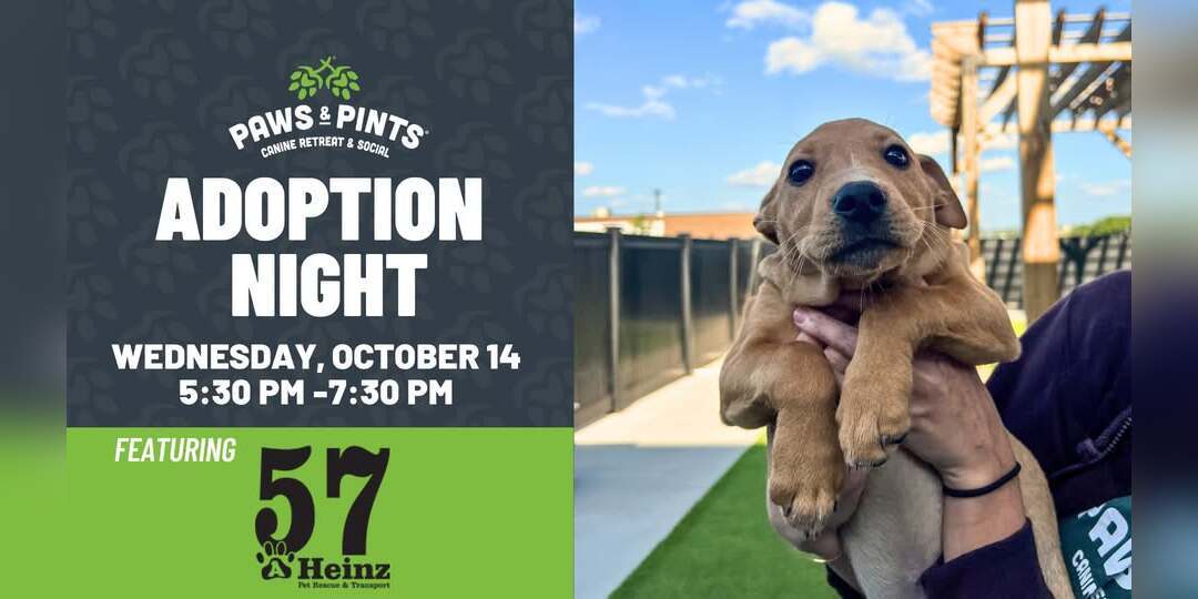 P&P Adoption Night
