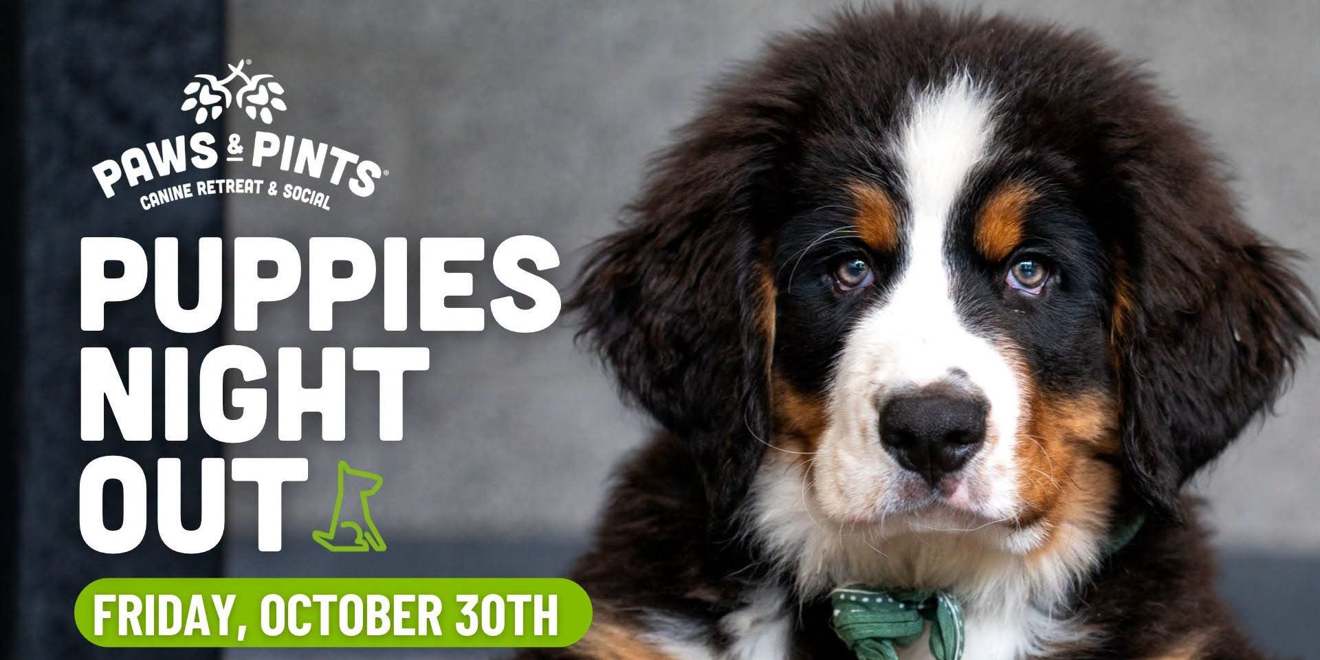 Puppies Night Out