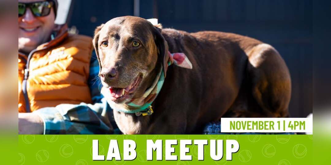 Lab Meetup