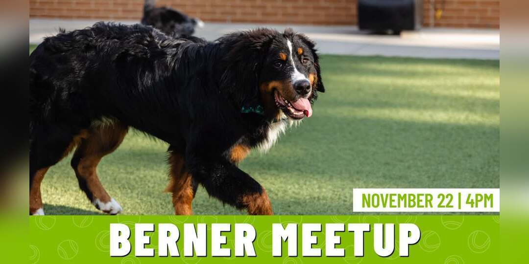 Berner Meetup