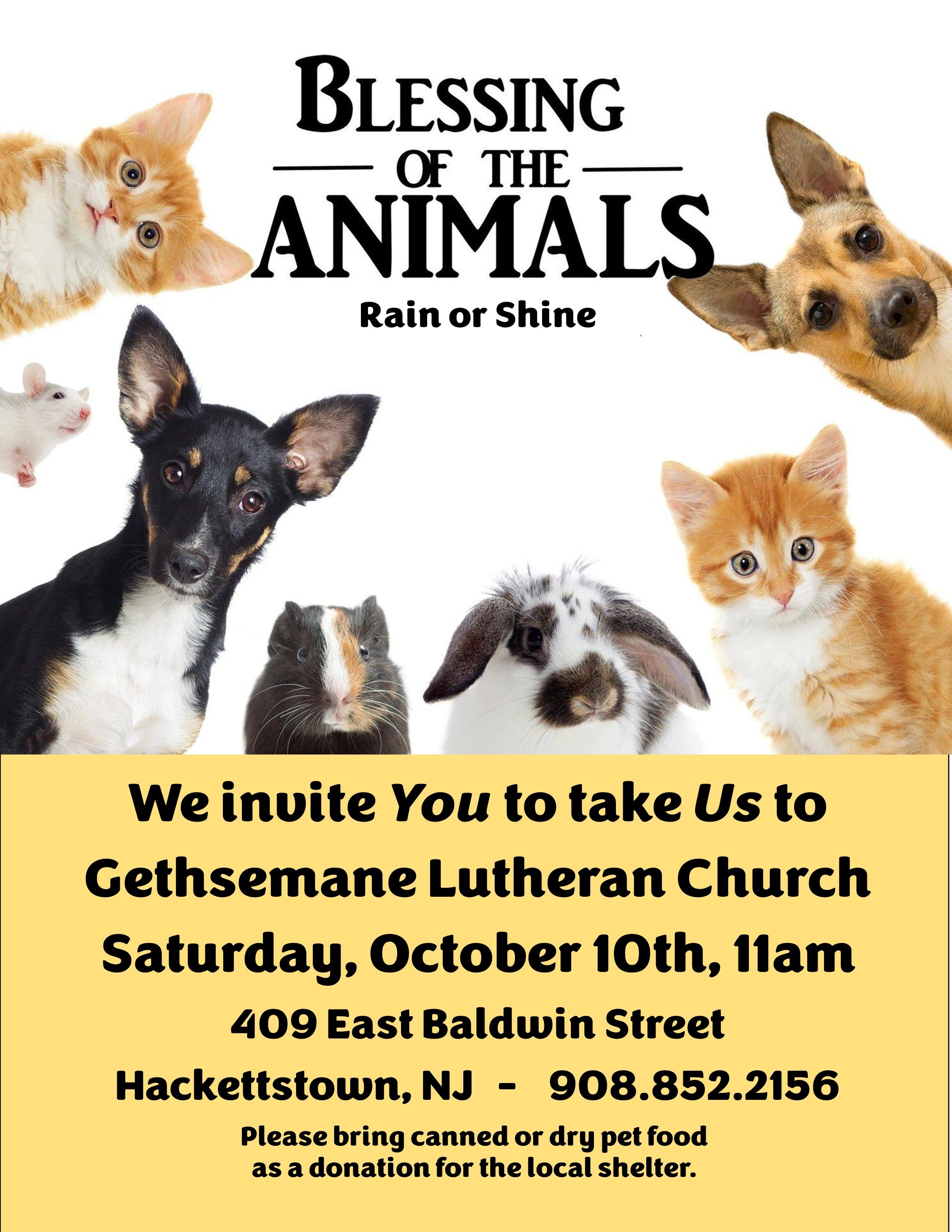 Blessing Of The Animals