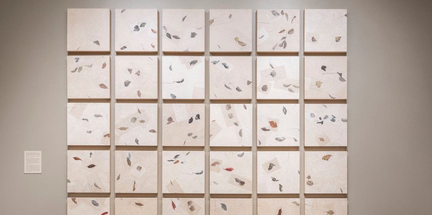 Between Image and Sound: Farhad Ostovani