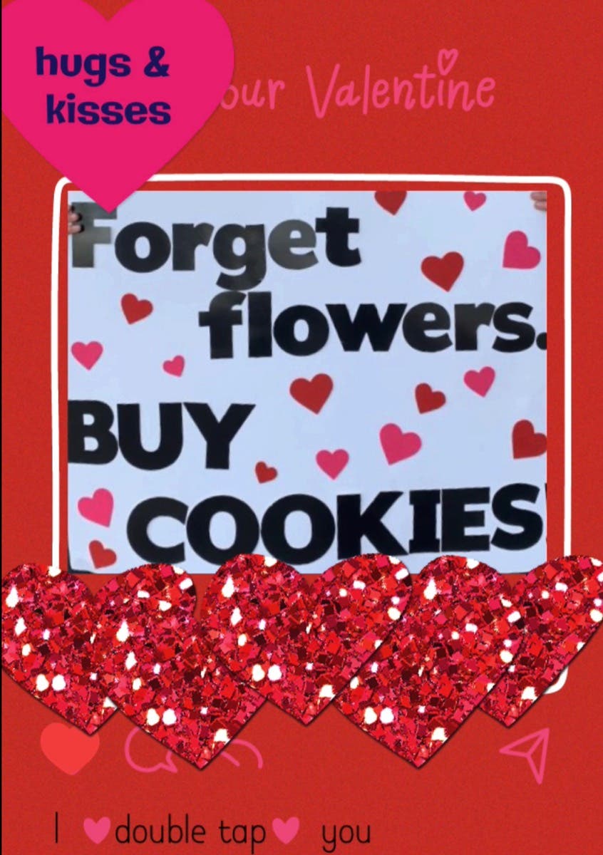 Girl Scout Cookies Fair Lawn, NJ Patch