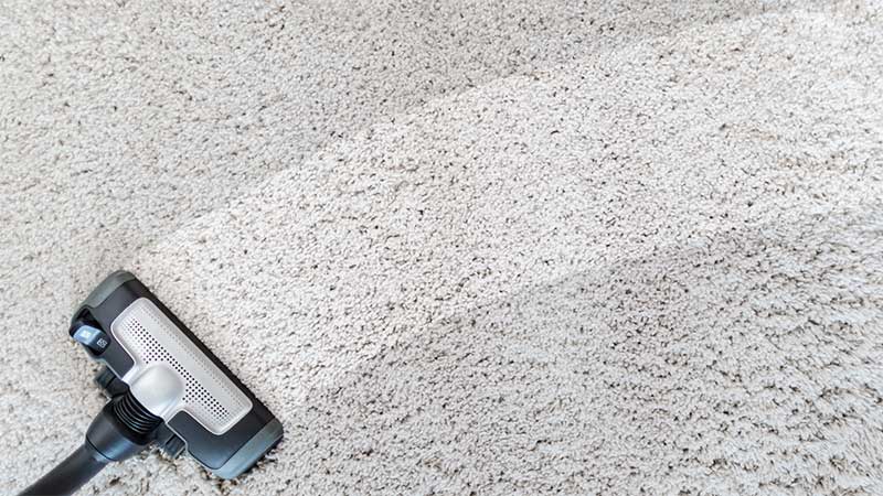 Professional Carpet Cleaning in Las Vegas - Love Your Carpet